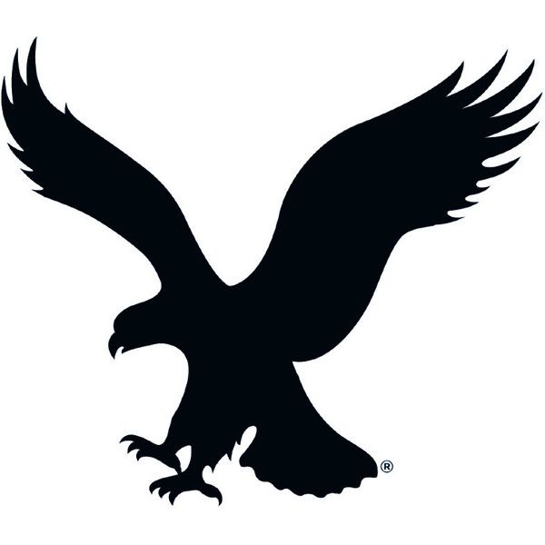 American Eagle Outfitters Coupon Code Logo
